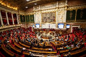 Questions To The French Government At The National Assembly