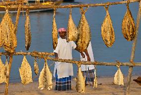 Qatar-Doha-Traditional Dhow Festival 2024