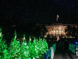 President Biden Lights The National Christmas Tree