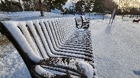 Snow In Toronto