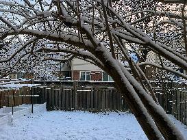 Snow In Toronto