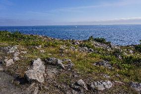 Daily Life On Bornholm Island