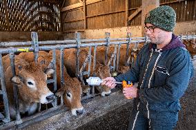 Vaccination Campaign Against Bluetongue - France