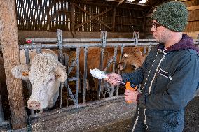 Vaccination Campaign Against Bluetongue - France