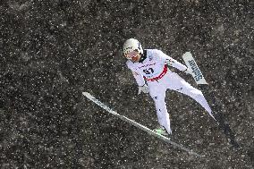 FIS Ski Jumping World Cup Wisla