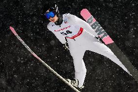 Ski Jumping World Cup in Wisla - Day 1