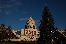 US Holiday: Capitol Christmas Tree