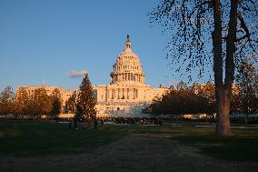 US Holiday: Capitol Christmas Tree