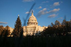 US Holiday: Capitol Christmas Tree