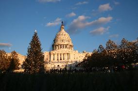 US Holiday: Capitol Christmas Tree