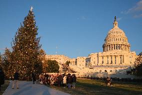 US Holiday: Capitol Christmas Tree