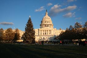 US Holiday: Capitol Christmas Tree