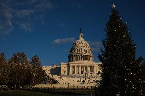 US Holiday: Capitol Christmas Tree