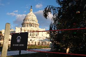 US Holiday: Capitol Christmas Tree