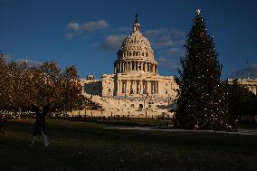 US Holiday: Capitol Christmas Tree