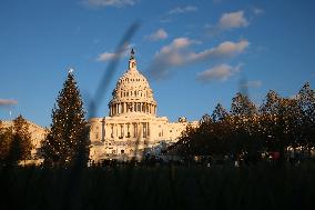 US Holiday: Capitol Christmas Tree