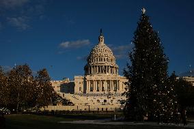 US Holiday: Capitol Christmas Tree