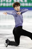 Figure skating: Grand Prix Final