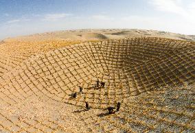 China Fortifies Green Great Wall To Contain Desert