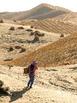 China Fortifies Green Great Wall To Contain Desert