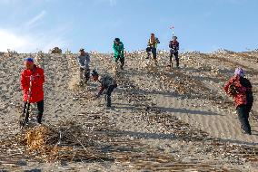 China Fortifies Green Great Wall To Contain Desert