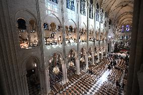 Notre-Dame Cathedral Interior Illustrations - Paris