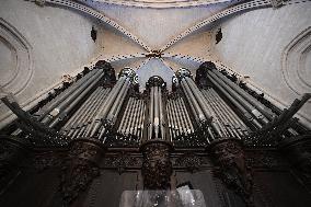 Notre-Dame Cathedral Interior Illustrations - Paris