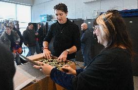 Justin Trudeau Packs Cristmas Baskets In Montreal