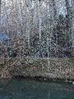 Washington DC Fire Fighters Battle A Brush Fire In Rock Creek Park In The Middle Of The City On December 7, 2024.