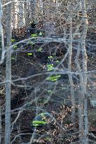 Washington DC Fire Fighters Battle A Brush Fire In Rock Creek Park In The Middle Of The City On December 7, 2024.