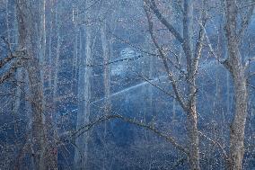 Washington DC Fire Fighters Battle A Brush Fire In Rock Creek Park In The Middle Of The City On December 7, 2024.