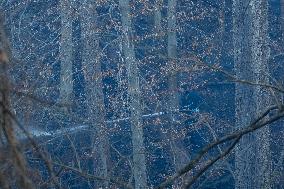 Washington DC Fire Fighters Battle A Brush Fire In Rock Creek Park In The Middle Of The City On December 7, 2024.