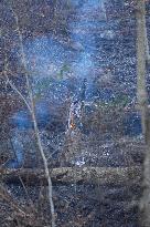 Washington DC Fire Fighters Battle A Brush Fire In Rock Creek Park In The Middle Of The City On December 7, 2024.