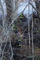 Washington DC Fire Fighters Battle A Brush Fire In Rock Creek Park In The Middle Of The City On December 7, 2024.