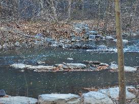 Washington DC Fire Fighters Battle A Brush Fire In Rock Creek Park In The Middle Of The City On December 7, 2024.