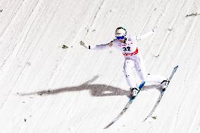 FIS Ski Jumping World Cup Wisla - Day 2