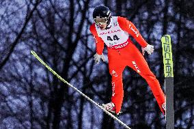 Ski Jumping World Cup in Wisla - Day 2