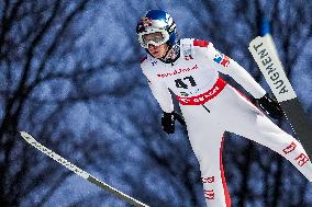 Ski Jumping World Cup in Wisla - Day 2