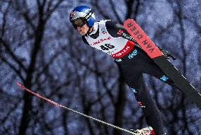 Ski Jumping World Cup in Wisla - Day 2