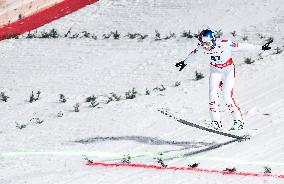 Ski Jumping World Cup in Wisla - Day 2