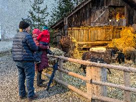 Andechs Christmas Market