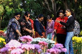 38th Chrysanthemum Flower  Exhibition In Jaipur