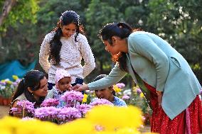 38th Chrysanthemum Flower  Exhibition In Jaipur