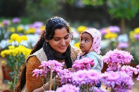 38th Chrysanthemum Flower  Exhibition In Jaipur