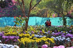 38th Chrysanthemum Flower  Exhibition In Jaipur