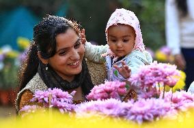 38th Chrysanthemum Flower  Exhibition In Jaipur