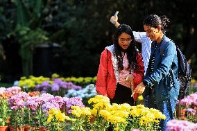 38th Chrysanthemum Flower  Exhibition In Jaipur