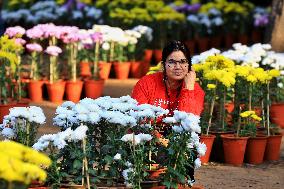 38th Chrysanthemum Flower  Exhibition In Jaipur