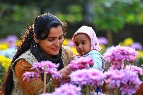 38th Chrysanthemum Flower  Exhibition In Jaipur