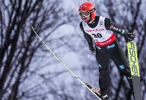 Ski Jumping World Cup in Wisla - Day 2